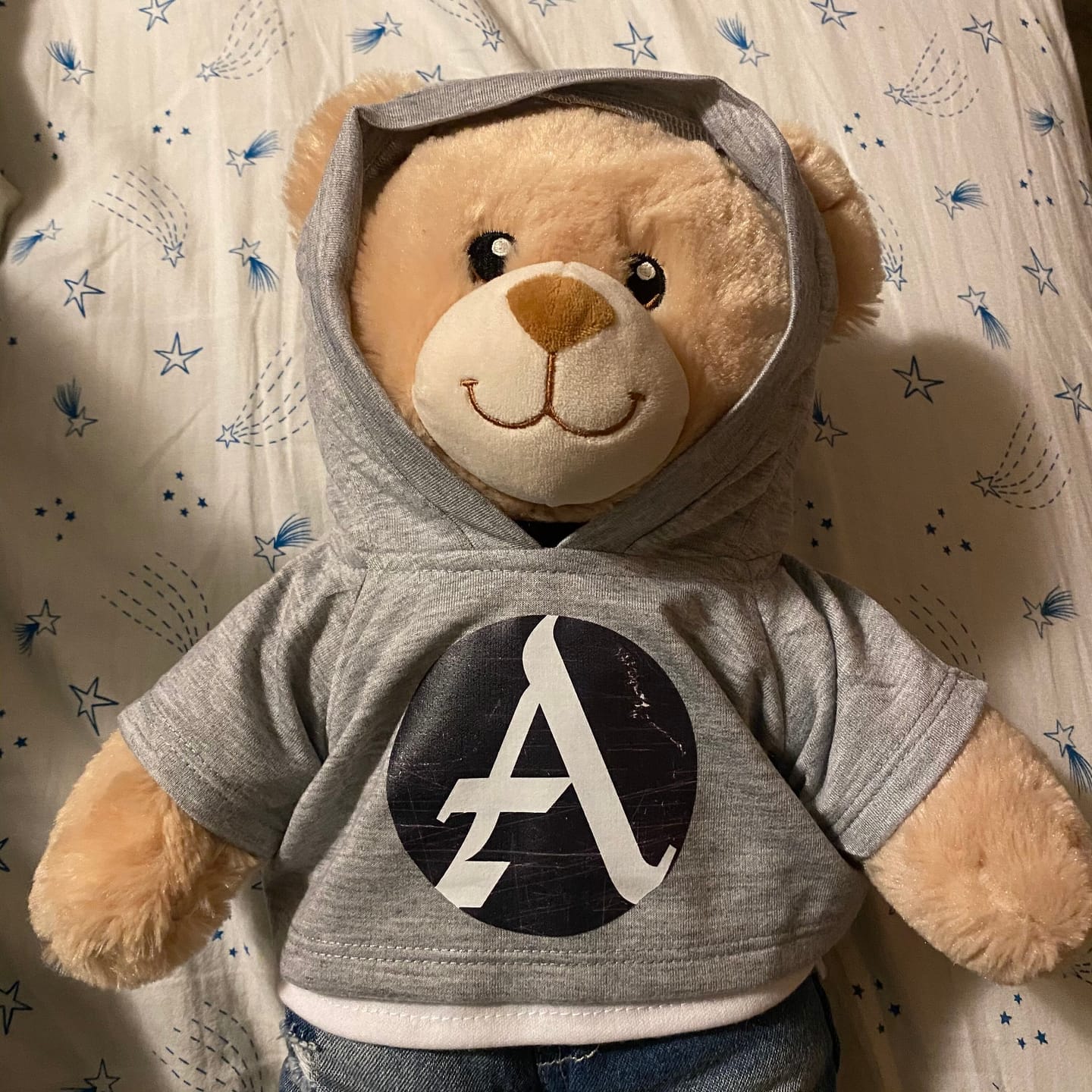 Customer photo review of CUSTOM Plushie HOODIE | Fits BAB and 14 to 16 Inch Stuffed Animals | Teddy Bear Outfit | Plushie Clothing