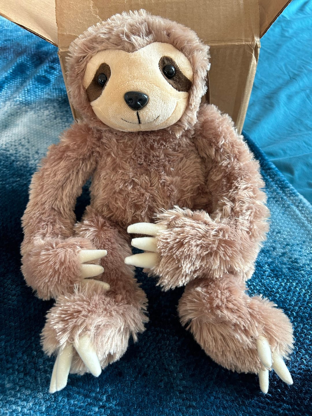 Customer photo review of WEIGHTED SLOTH Stuffed Animal, 16" Plushie, Sensory Comfort Toy, Anxiety Calming Plushie, Emotional Support Pet, Cuddly, Easter Gift
