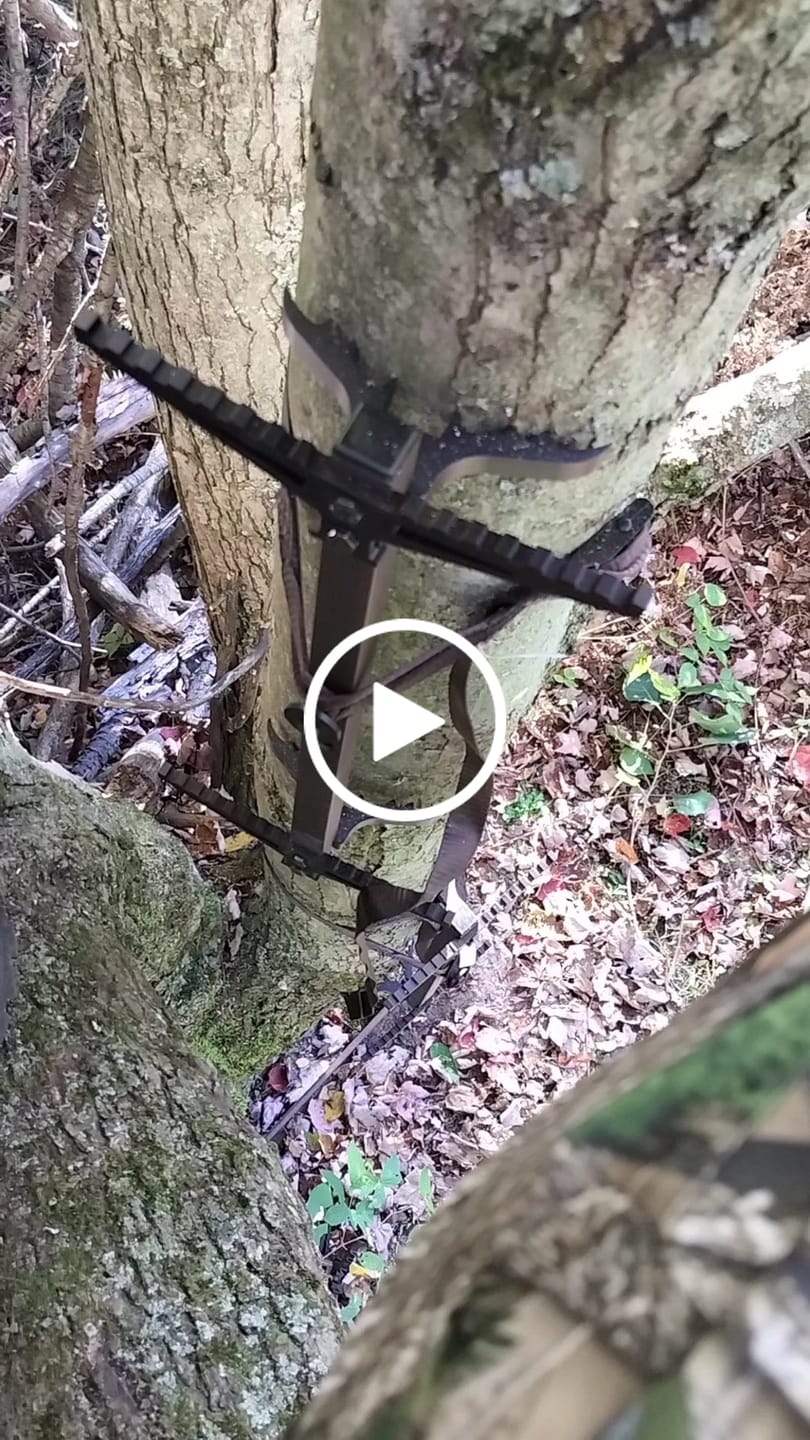 Customer video review of 20" OB (NO HOLE) BEAST GEAR CLIMBING STICK