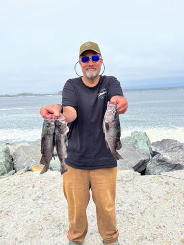 Customer photo review of Exclusive Long Shank Jig Heads 4 PACK by Fisherman's Life (1/2oz, 1oz, 1.5oz)