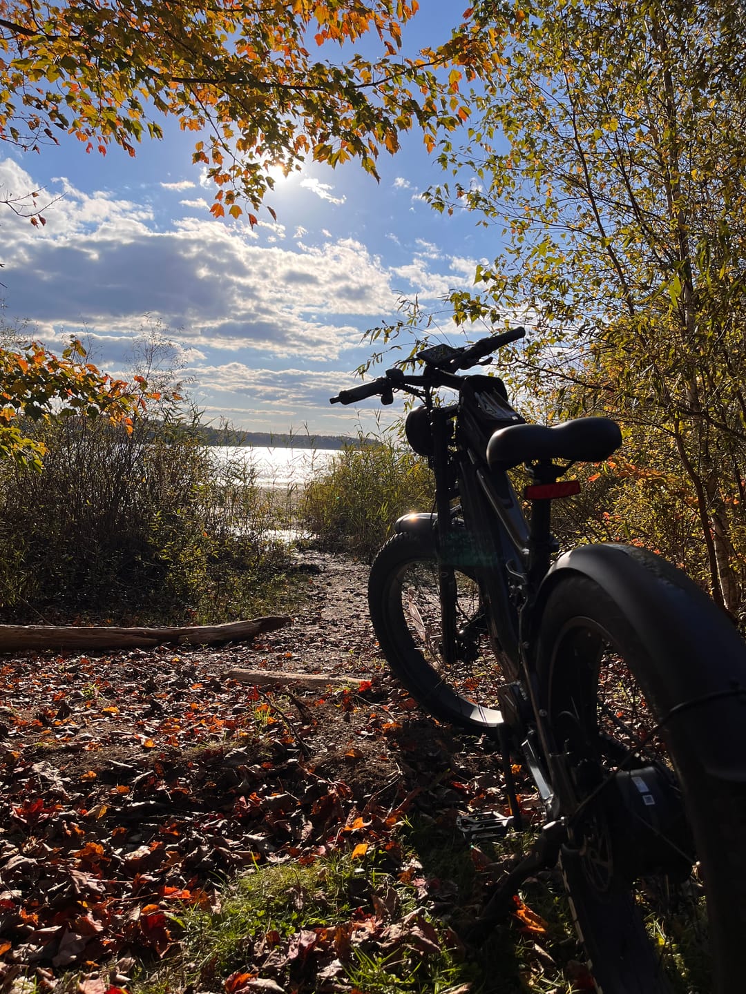 Customer photo review of T7 Full Suspension Mountain E-bike
