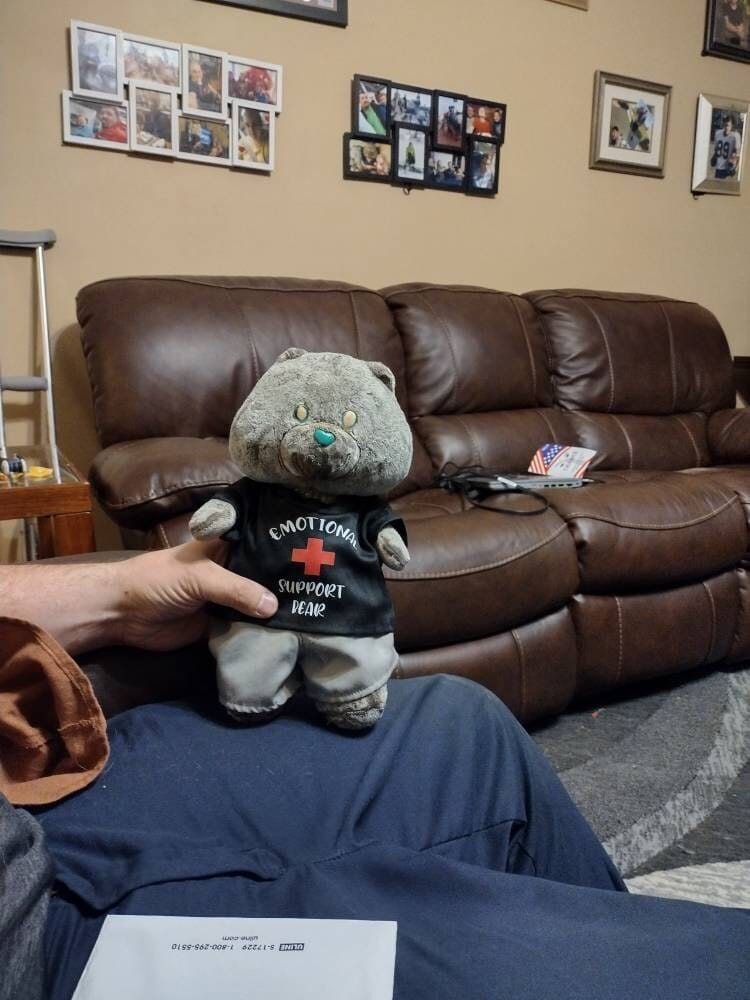 Customer photo review of EMOTIONAL SUPPORT Bear T-Shirt | Fits BAB & 14 to 16 Inch Stuffed Animals | Teddy Bear Outfit | Plushie Clothing