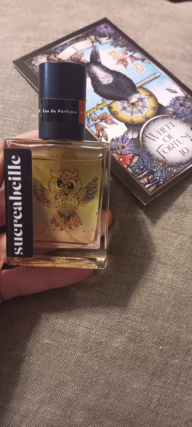 Customer photo review of Afternoon Owl