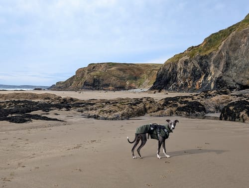 Customer photo review of Fleece Sighthound Base-Layer Coat with Underbelly and Snood