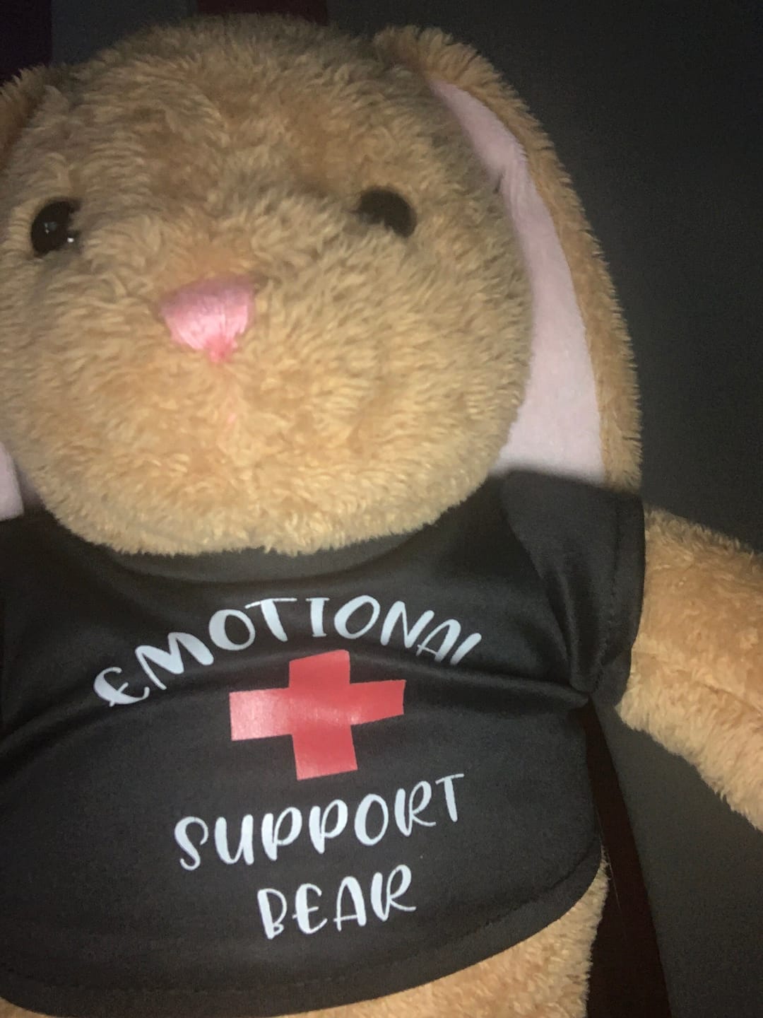 Customer photo review of EMOTIONAL SUPPORT Bear T-Shirt | Fits BAB & 14 to 16 Inch Stuffed Animals | Teddy Bear Outfit | Plushie Clothing