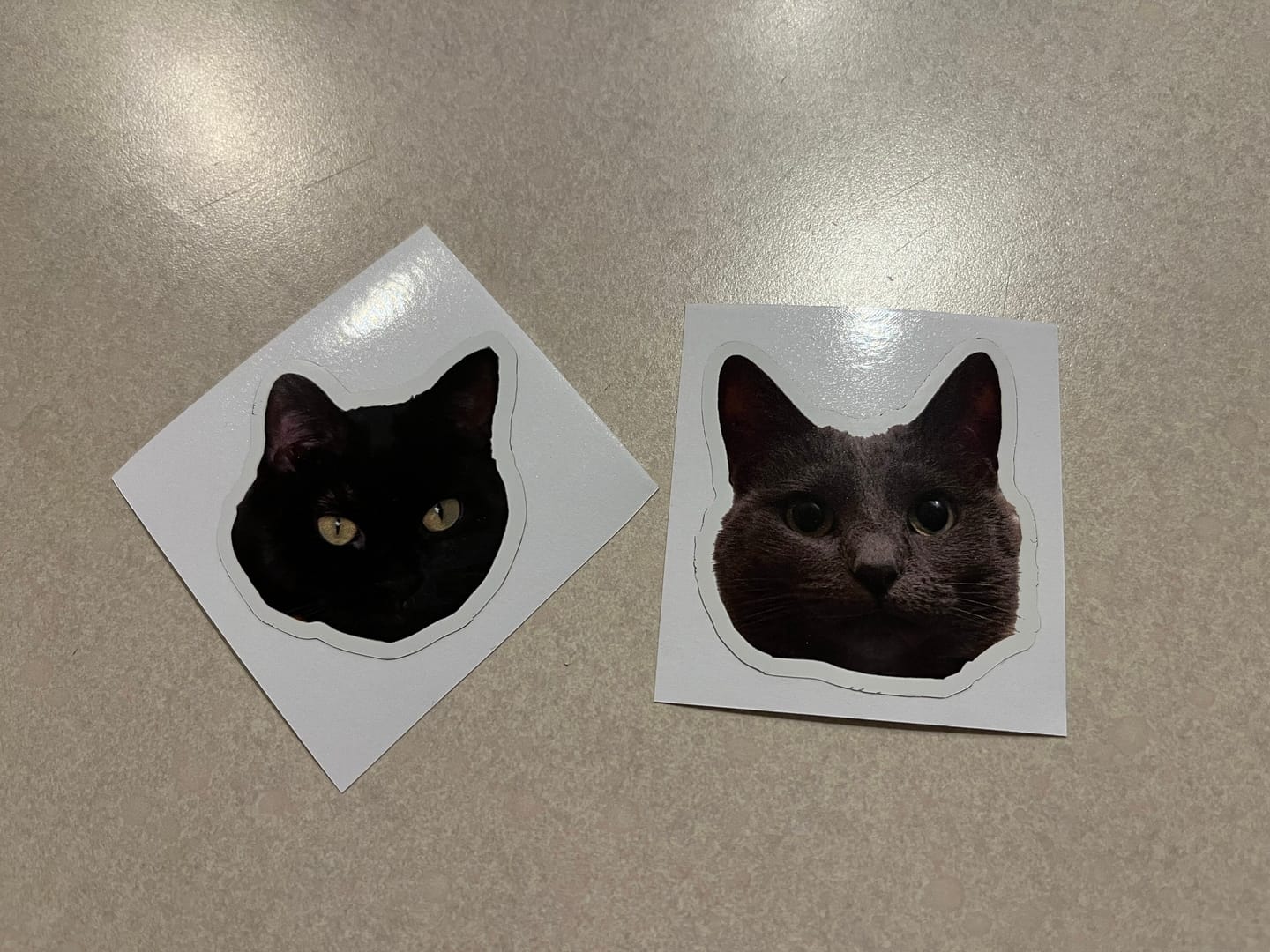 Customer photo review of CUSTOM PHOTO STICKER, Personalized Stickers, Pet Sticker, Laptop Sticker, Tumbler Sticker, Memorial Sticker, Water Bottle Sticker