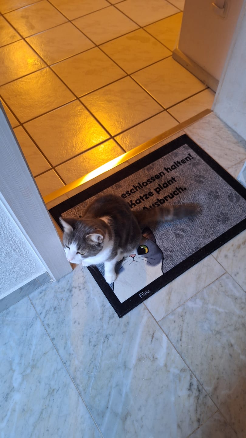 Customer photo review of Katzen planen einen Ausbruch - Individuelle Fußmatte