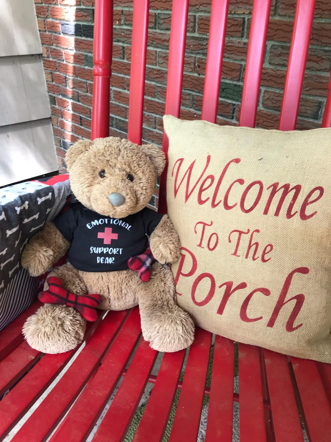 Customer photo review of EMOTIONAL SUPPORT Bear T-Shirt | Fits BAB & 14 to 16 Inch Stuffed Animals | Teddy Bear Outfit | Plushie Clothing