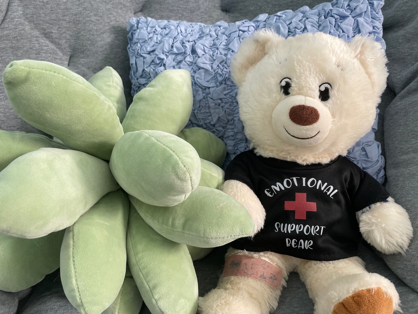 Customer photo review of EMOTIONAL SUPPORT Bear T-Shirt | Fits BAB & 14 to 16 Inch Stuffed Animals | Teddy Bear Outfit | Plushie Clothing