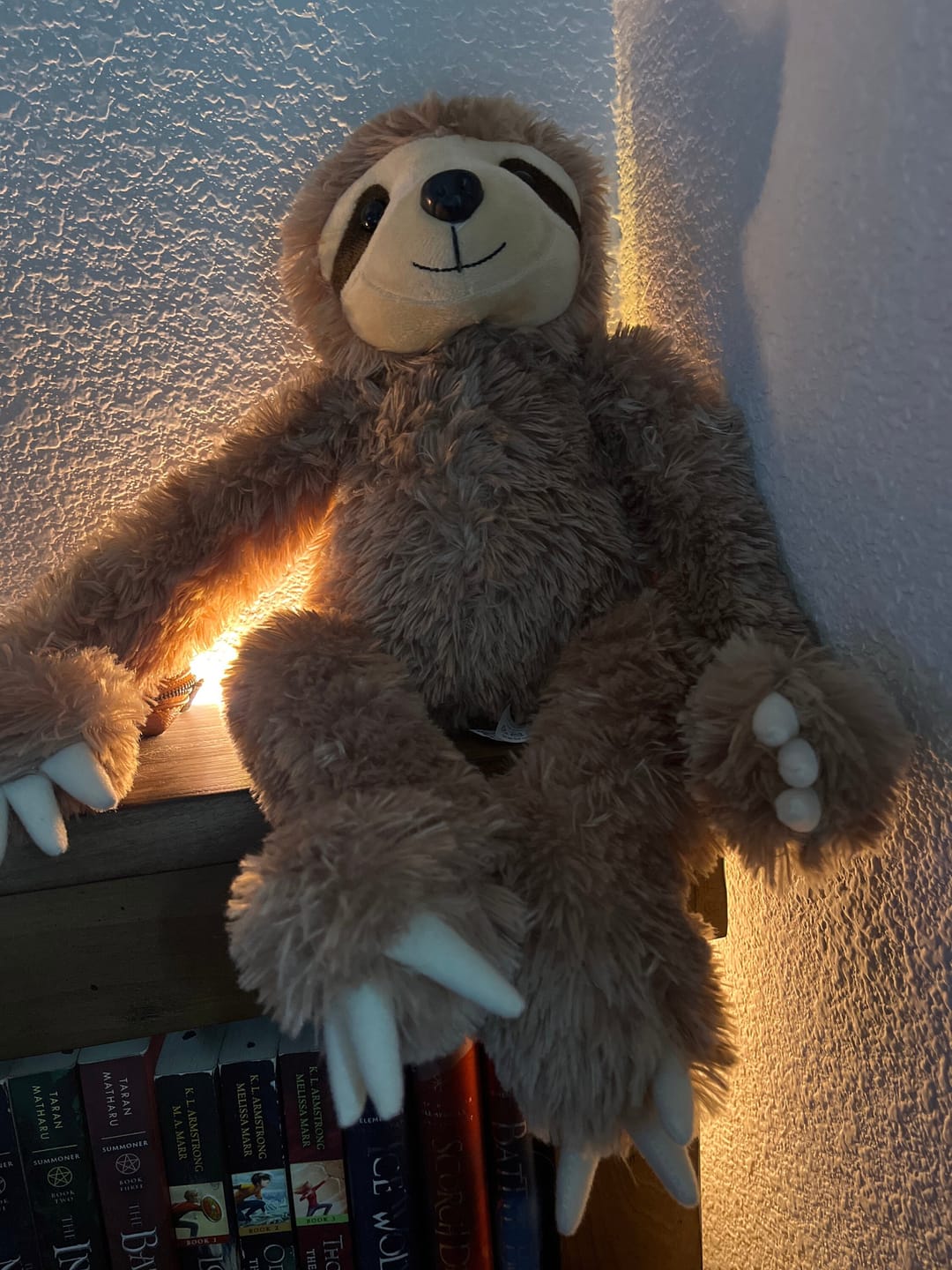 Customer photo review of WEIGHTED SLOTH Stuffed Animal, 16" Plushie, Sensory Comfort Toy, Anxiety Calming Plushie, Emotional Support Pet, Cuddly, Easter Gift