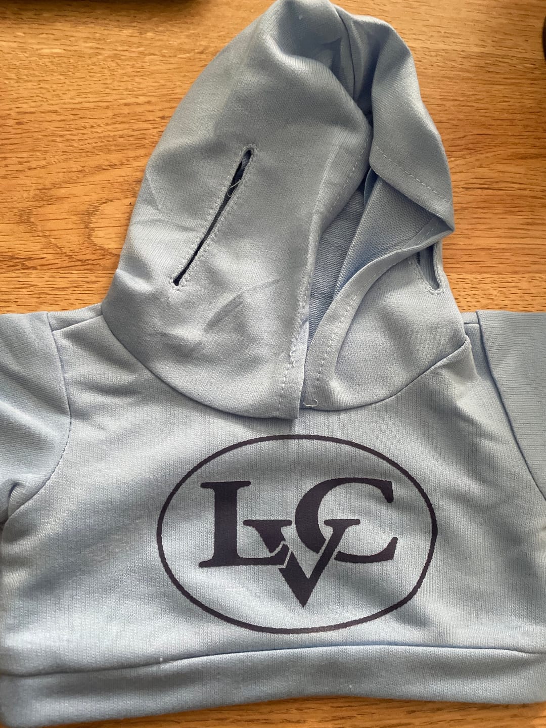 Customer photo review of CUSTOM Plushie HOODIE | Fits BAB and 14 to 16 Inch Stuffed Animals | Teddy Bear Outfit | Plushie Clothing