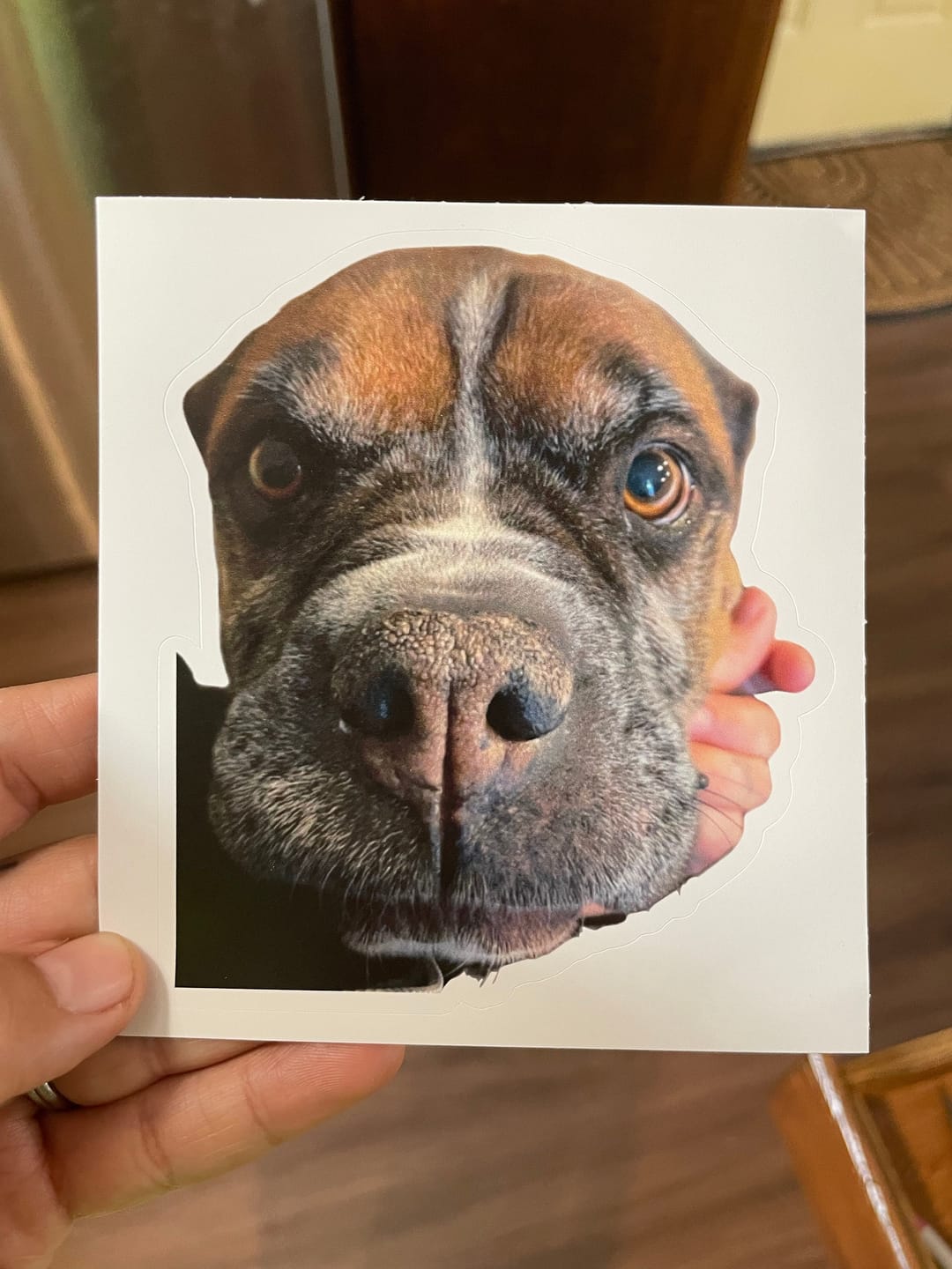 Customer photo review of CUSTOM PHOTO STICKER, Personalized Stickers, Pet Sticker, Laptop Sticker, Tumbler Sticker, Memorial Sticker, Water Bottle Sticker
