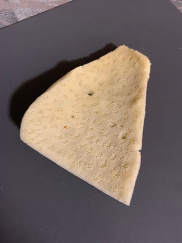 Customer photo review of Natural Sea Sponges for Cleaning