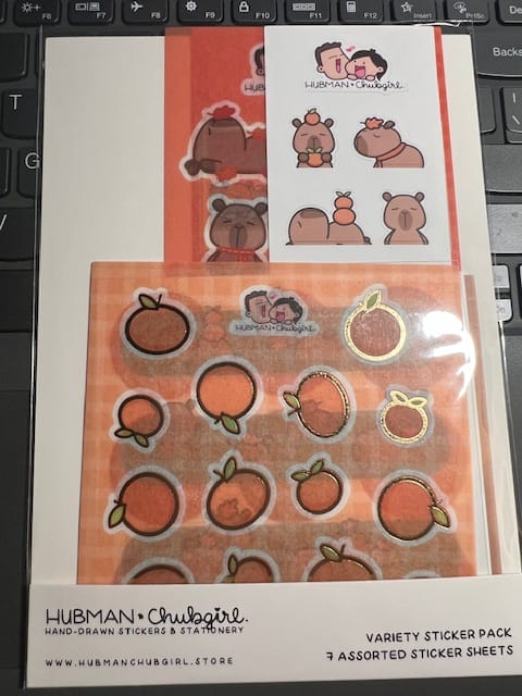 Customer photo review of Autumn Capybaras Variety Sticker Pack