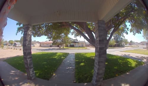 Customer photo review of GCI Turf Type Tall fescue Grass Seed