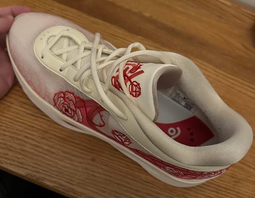 Customer photo review of Game Day Pro Performance Insoles