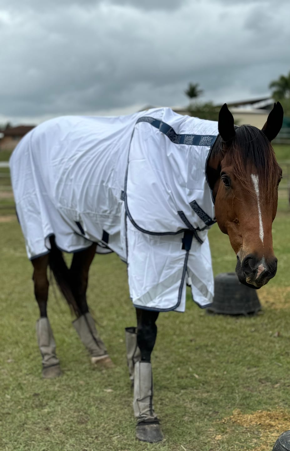 Customer photo review of LE Fieldsafe Summer Sheet