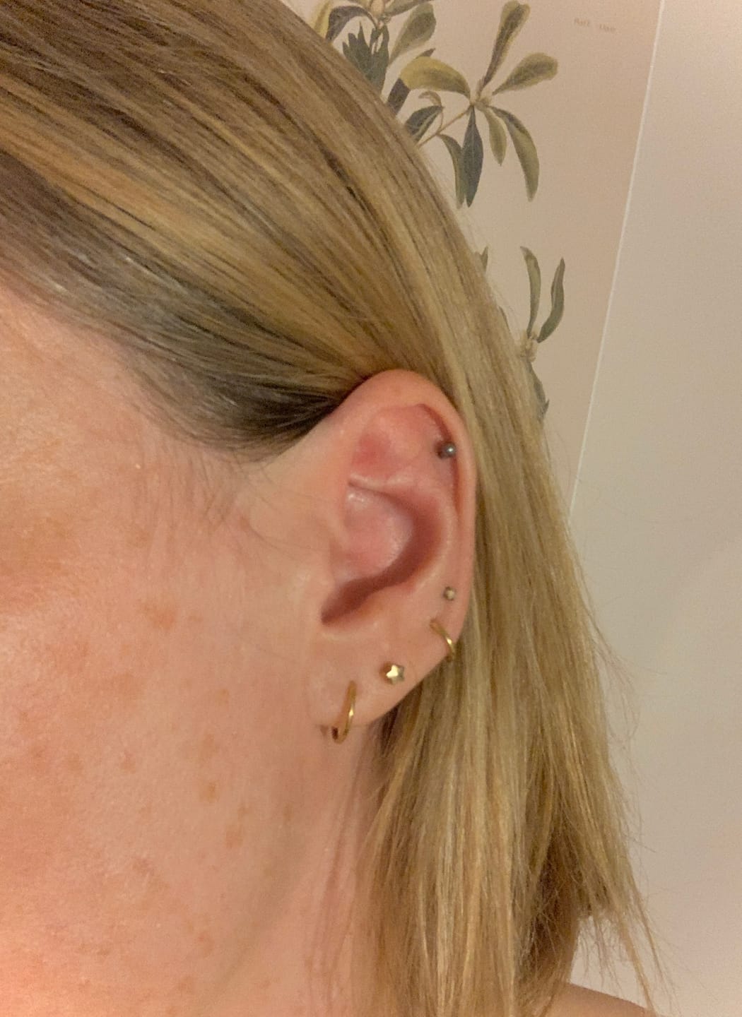 Customer photo review of Cartilage Hoop (16g)
