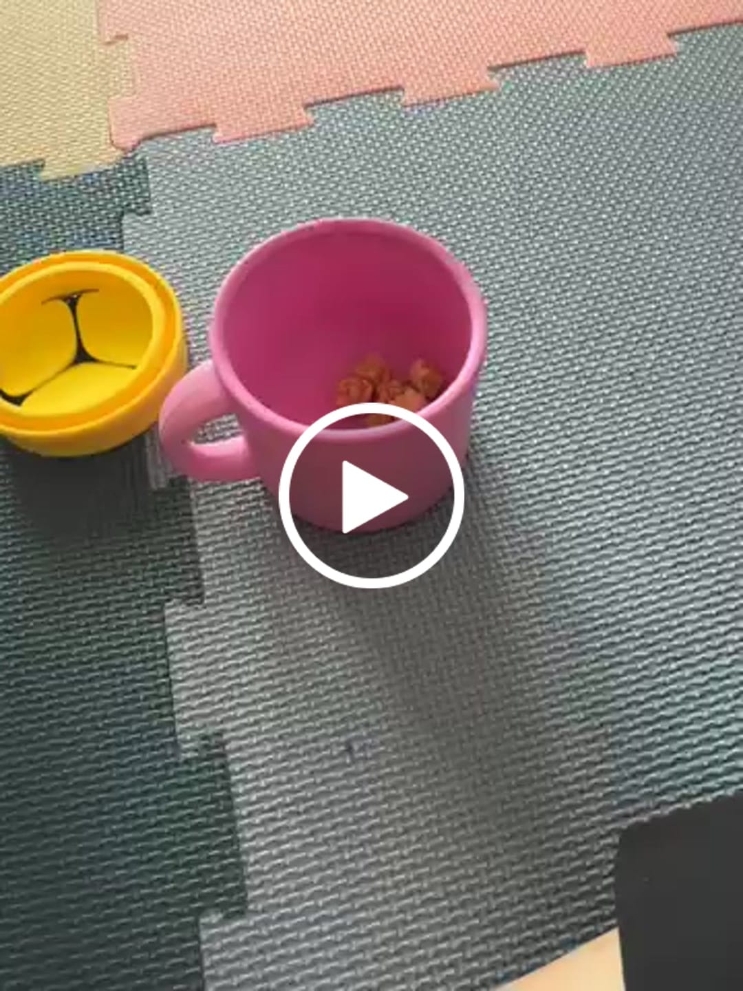 Customer video review of Snack Pack Bundle