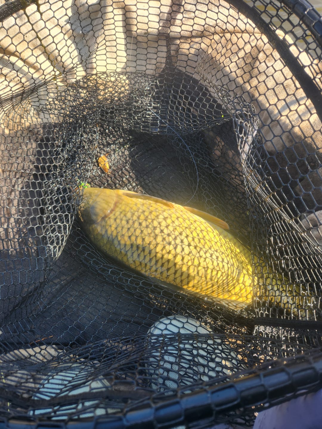 Customer photo review of Fly Rod