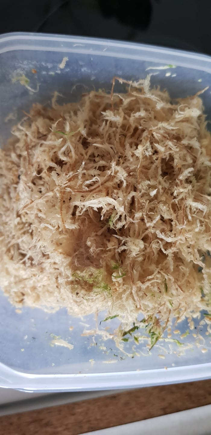 Customer photo review of Sphagnum Moos - Muddis Rapunzel Moos aus Deutschland