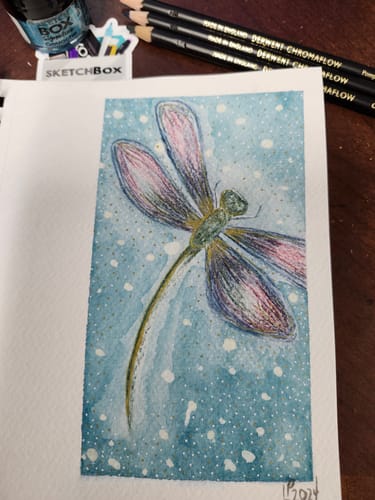Customer photo review of Gouache + Colored Pencil Basic Box