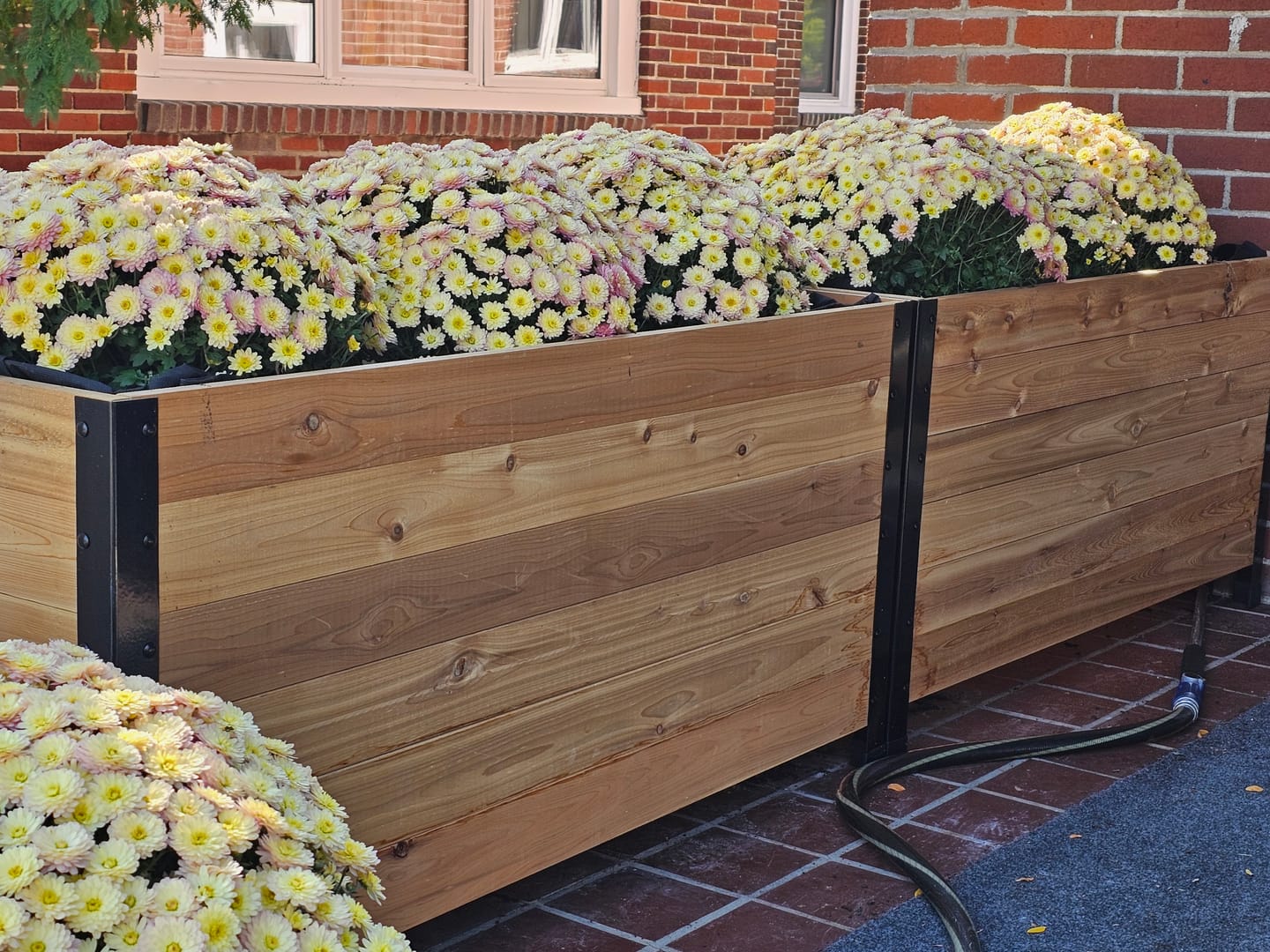 Customer photo review of 18" x 48" Planter Box - 24" Tall