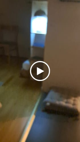 Customer video review of Bordslampa - Svamplampa Flowerbud - Batteridriven 5000 mAH