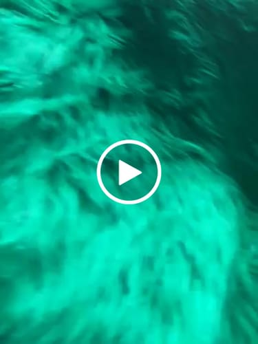 Customer video review of Kelly Green Faux Fake Fur Solid Shaggy Long Pile Fabric