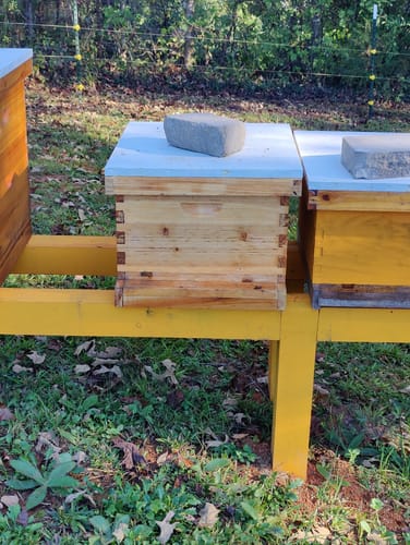 Customer photo review of BeeCastle Hives 10 Frame 2 Layer Screened Bottom Board Wax Coat Beehive Kit with 1 Deep Bee Box,1 Honey Super Bee Box, Wooden Frames and Beeswax-Plastic Foundation for Optimal Ventilation and Productive Beekeeping