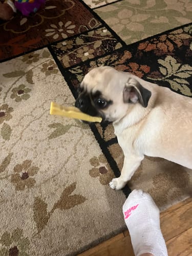 Customer photo review of MIX FLAVORED (Strawberry, Banana, Pumpkin, & Blueberry): A PACK OF 4 STICKS
