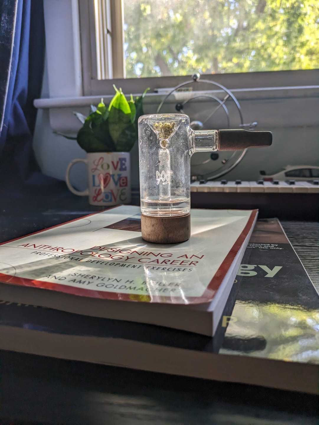 Customer photo review of Steamboat Bubbler