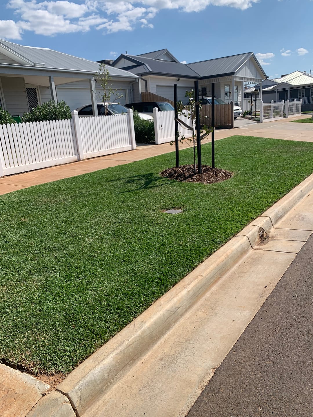Customer photo review of X-LINE 2.4mm Twist Textured Commercial Grade Brushcutter Trimmer Line 532m Spool