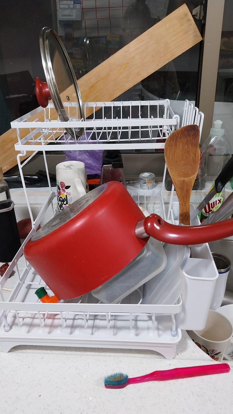 Customer photo review of Escurridor De Platos 2 Niveles Secador Desmontable Loza Inoxidable Rack