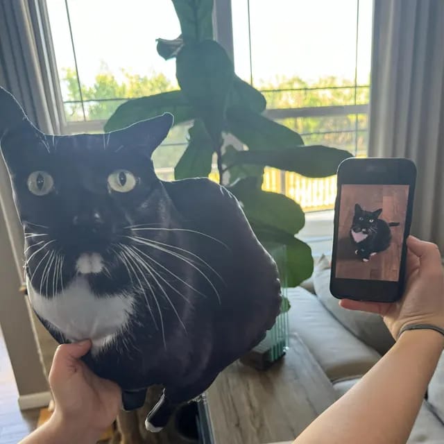 Customer photo review of Custom Pet Pillow