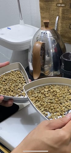 Customer photo review of BEAN Sieves