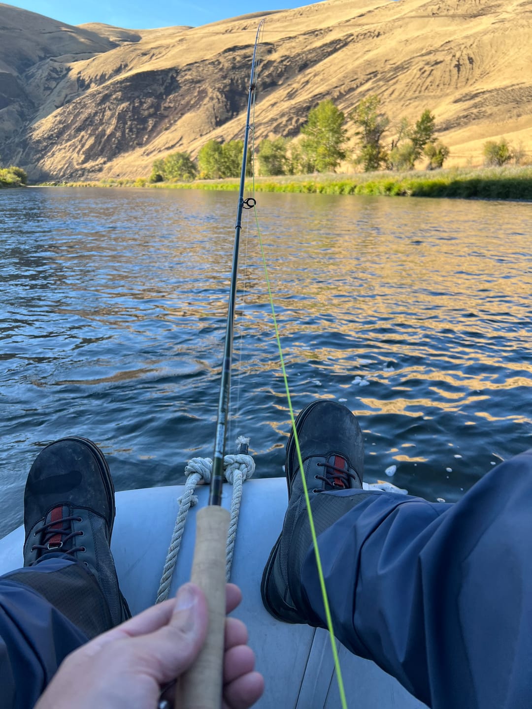 Customer photo review of Scientific Anglers Amplitude Smooth MPX Fly Line