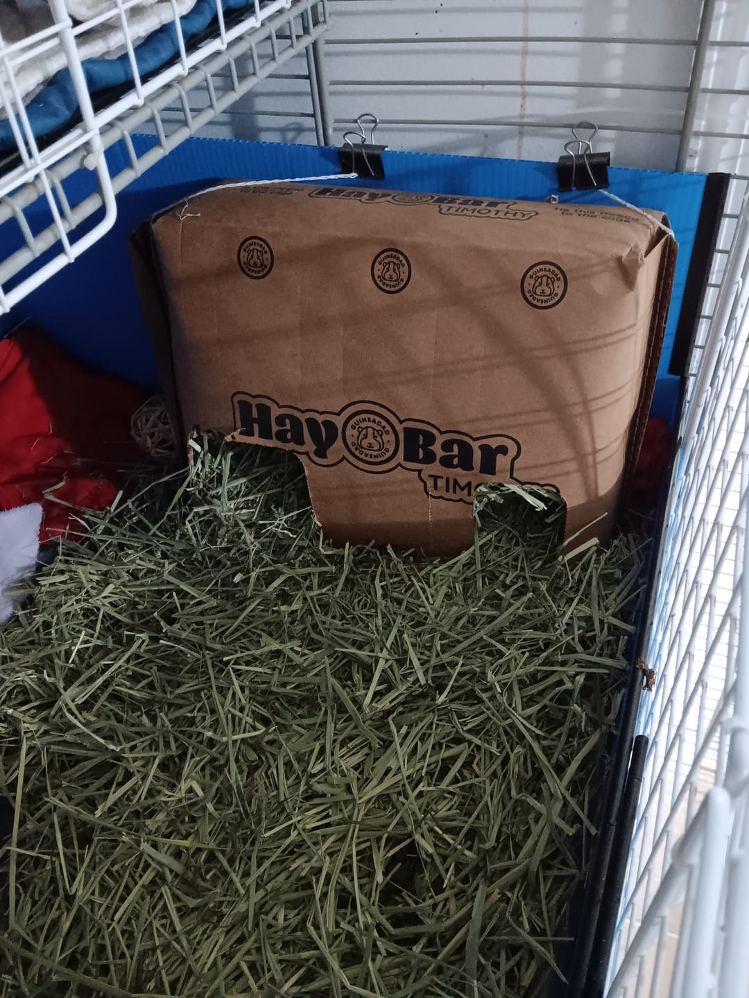Customer photo review of Timothy Hay Bar for Guinea Pigs (5 Pack)