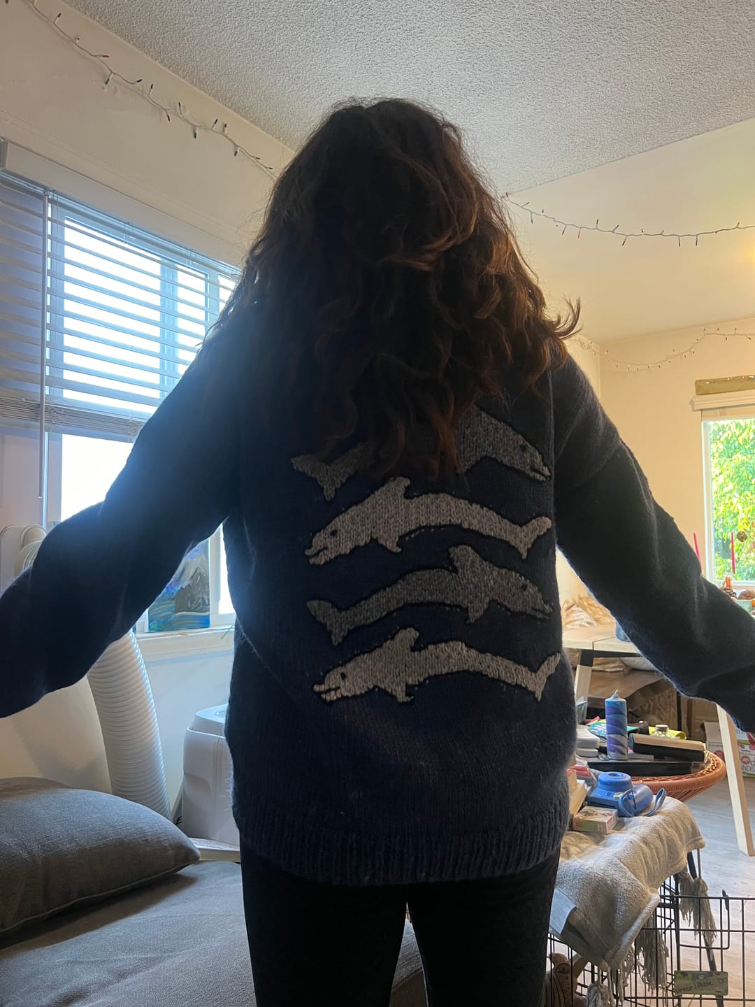Customer photo review of Azure Dolphin Knit Sweater