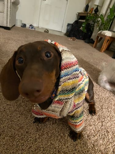 Customer photo review of Free & Easy Return or Exchange Coverage + Package Protection