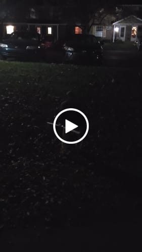 Customer video review of The Smaul lightsaber