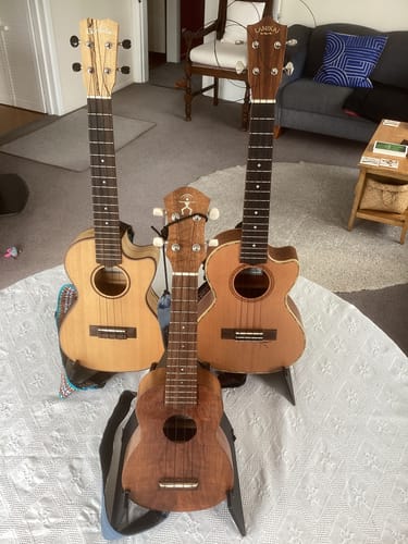 Customer photo review of BM Worth Brown Medium Soprano/Concert Ukulele Strings High G Fluorocarbon 2 Restrings per Pack