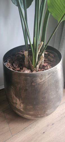 Customer photo review of 10 liter Frans Boomschors