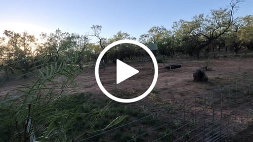 Customer video review of Beast Broadheads (2-Pack + Practice Tip)