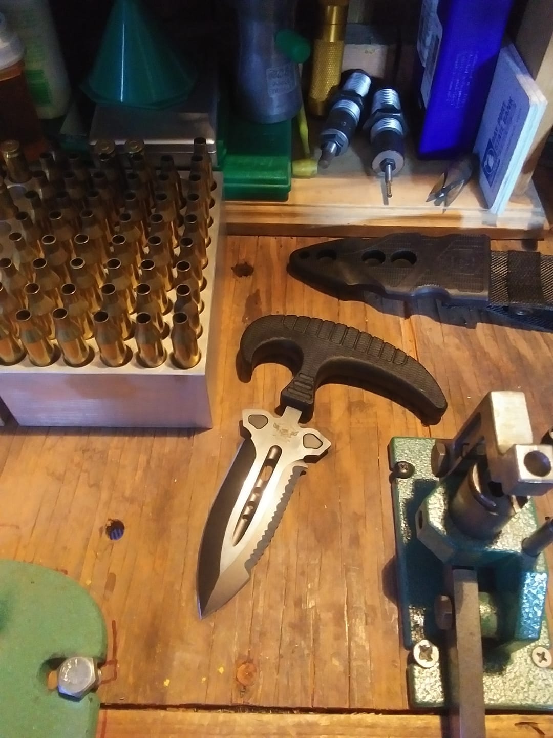 Customer photo review of Shark Tooth