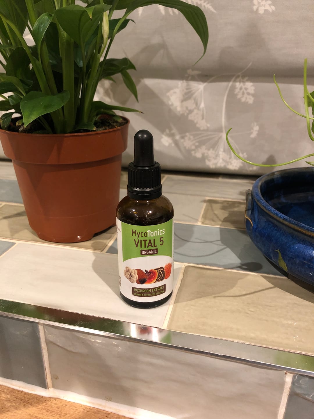 Customer photo review of Organic Vital 5 Mushroom Blend Complex (50ml)