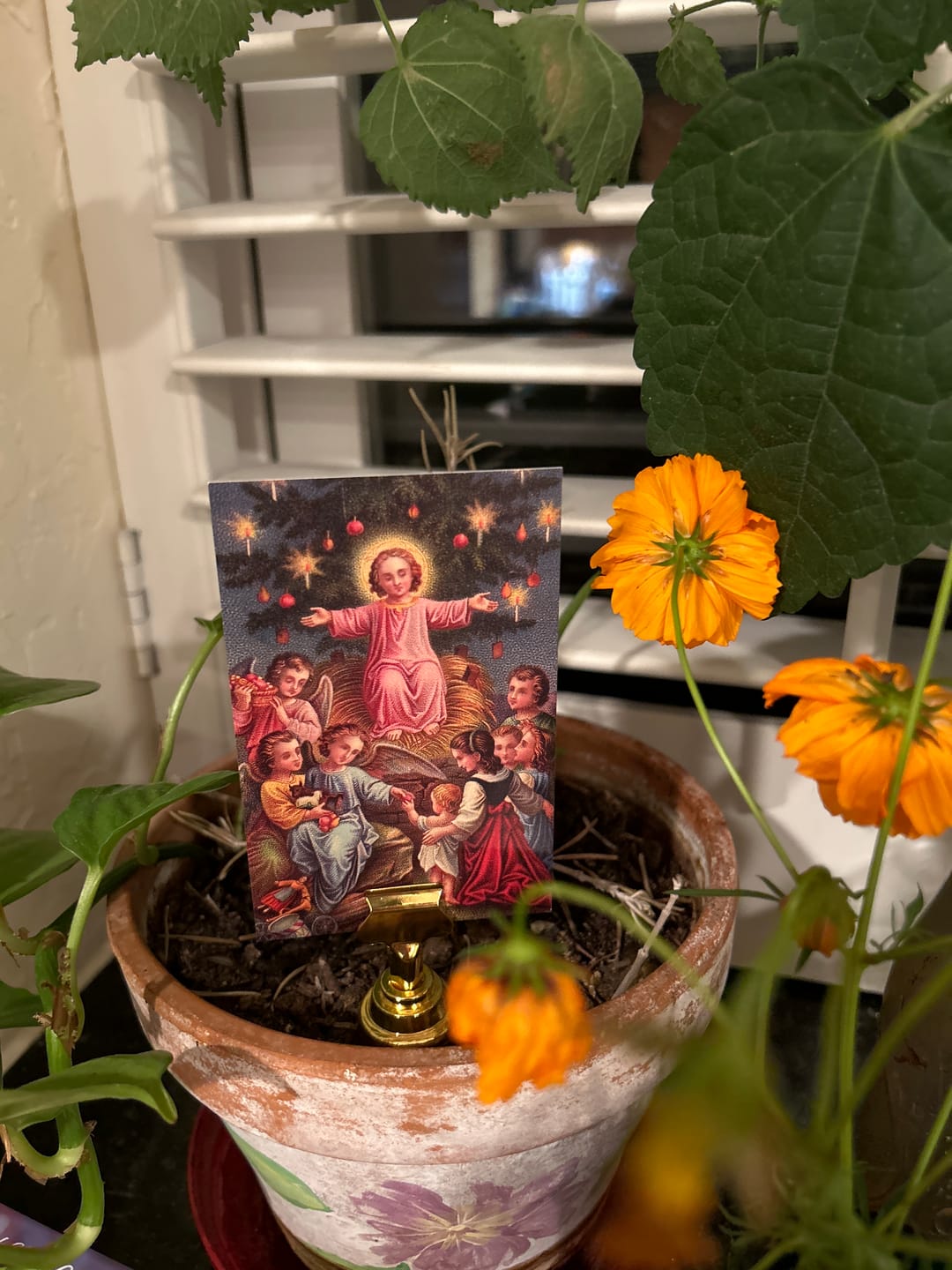 Customer photo review of New! 50 Restored Vintage Holy Cards – Variety Pack of 50 – Beautiful and Inspirational
