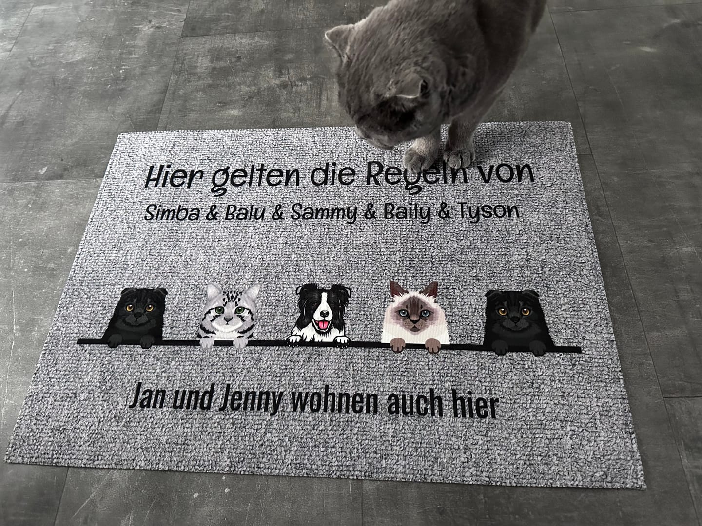 Customer photo review of Alle meine Fellnasen - Individuelle Fußmatte