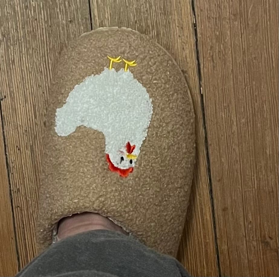 Customer photo review of Brown Fuzzy Chicken Slippers - Adult