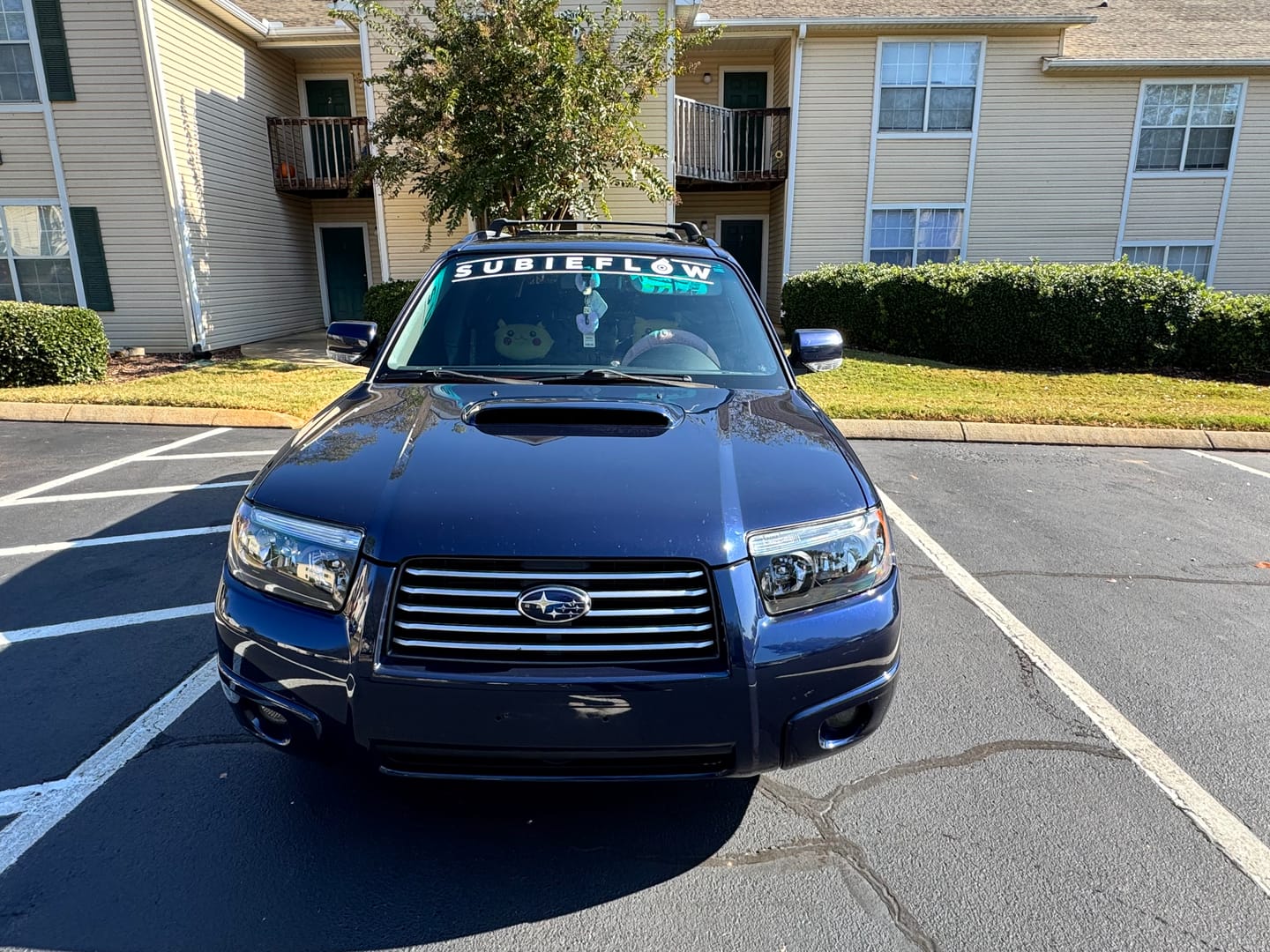 Customer photo review of SubieFlow Windshield Banners